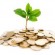 moneytree moneytree
