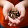 Pennies