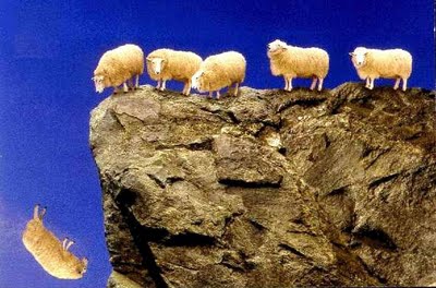 sheep_off_cliff sheep_off_cliff