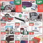 biglots9
