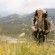 Backpackers spent $3 billion in Australia in the last financial year.