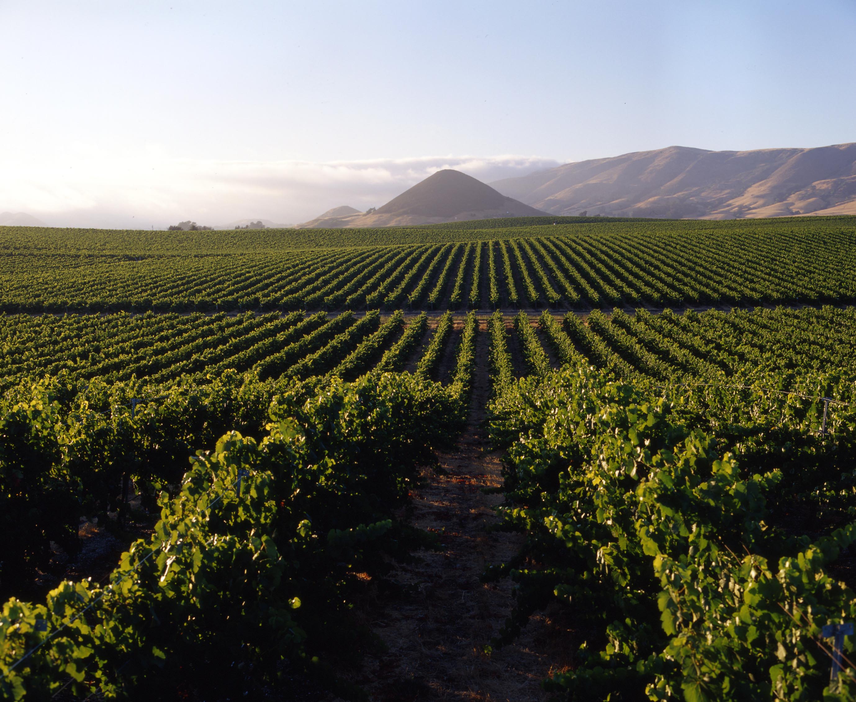 7 Great California Wine Regions That Are NOT Napa - TravelNerd