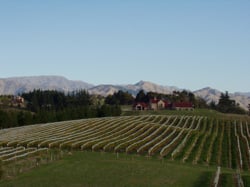 are small business loans based on personal credit