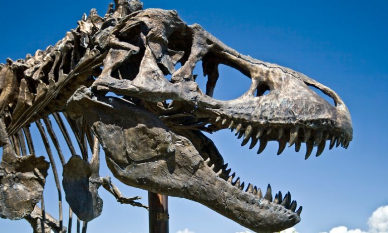 Over-Limit Fees Going the Way of the T. Rex
