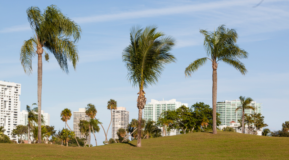 Best Places to Invest in Real Estate in Florida NerdWallet