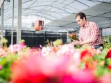 Tips for opening a flower shop