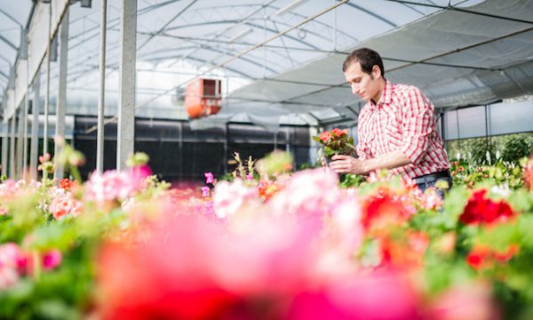 How To Start A Floral Business Tips On Seed Money More Nerdwallet