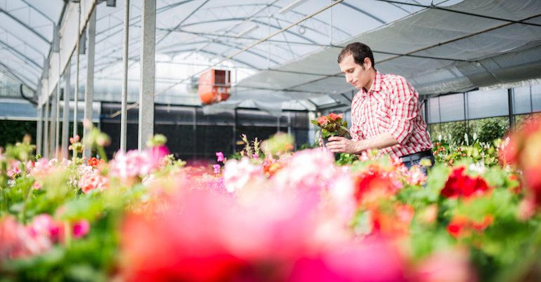 Tips for opening a flower shop