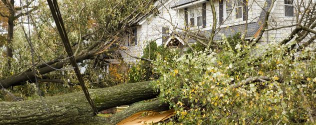 Disaster hit your home and mortgage: Who to call, what to do -story