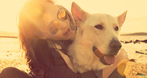 taking your dog on a plane