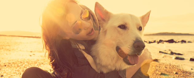 dogs you can take on a plane