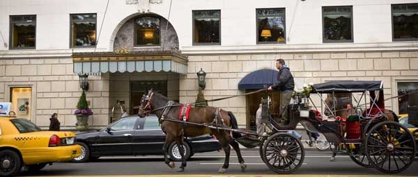 The Ritz-Carlton New York, Central Park at Daytime