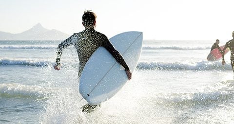 printed bread bolsas