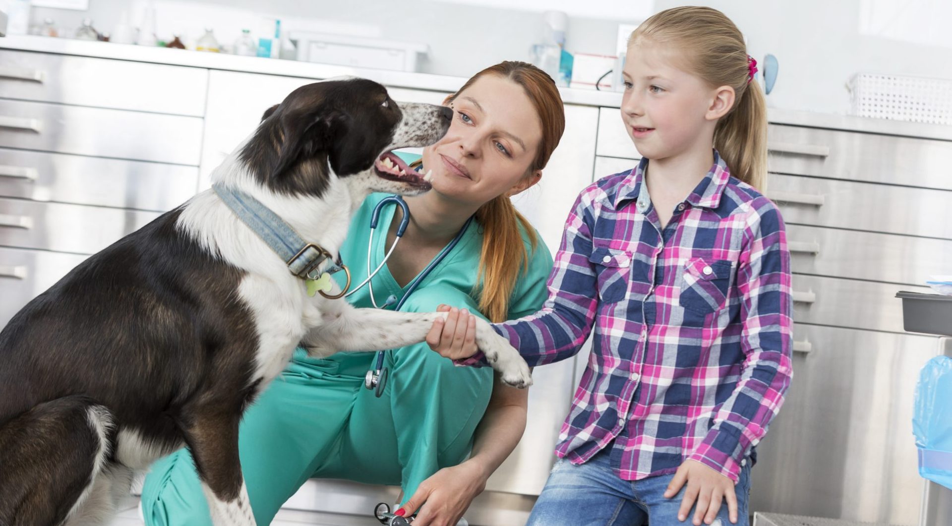 How to Pay for Vet School Options for a D.V.M. NerdWallet