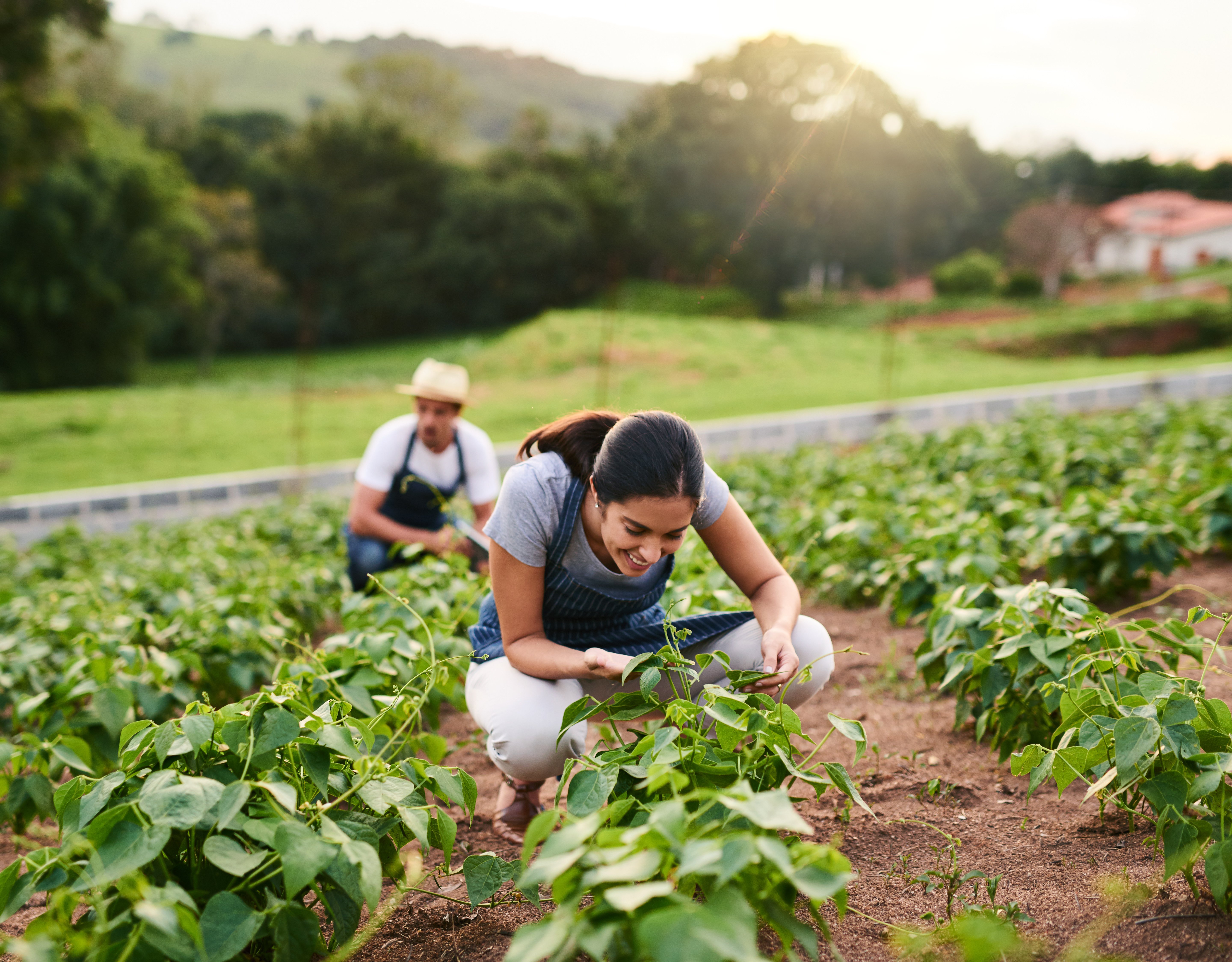 Making small-scale farmers a priority is a must