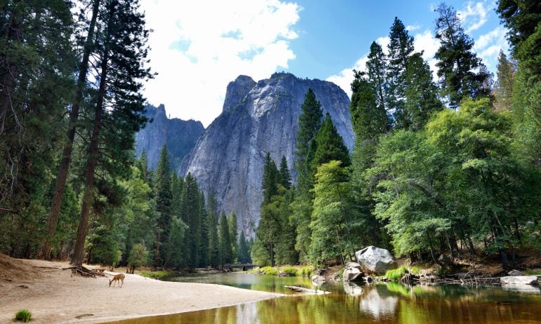 Popular National Parks on Points - California