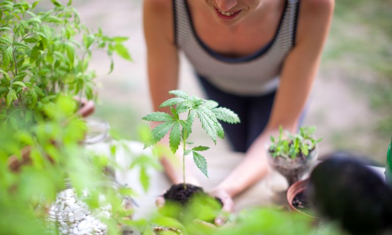 Marijuana Stocks: How to Lower Risk and Buy What’s Right for You