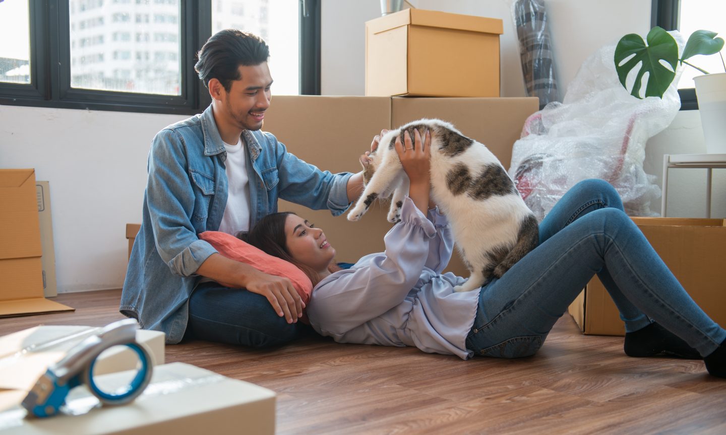 Geico Renters Insurance Review 2022: What to Know - NerdWallet