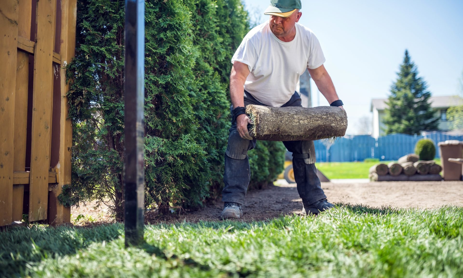 Landscape Design And Installation