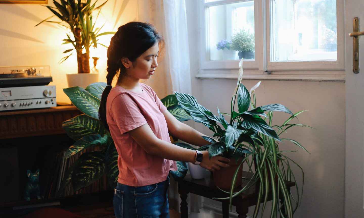 progressive home renters insurance login