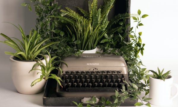 Typewriter with plants