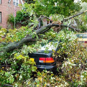 The Difference Between Comprehensive and Collision Coverage