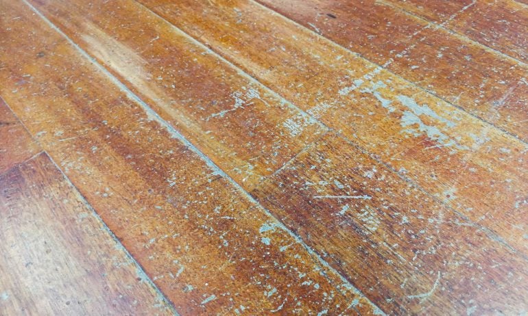 Hardwood Floors Need To Be Refinished, Sealing Hardwood Floors Pets