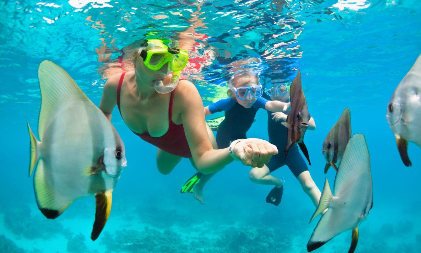 What to Know About Marriott Vacation Packages - Vimarsana News