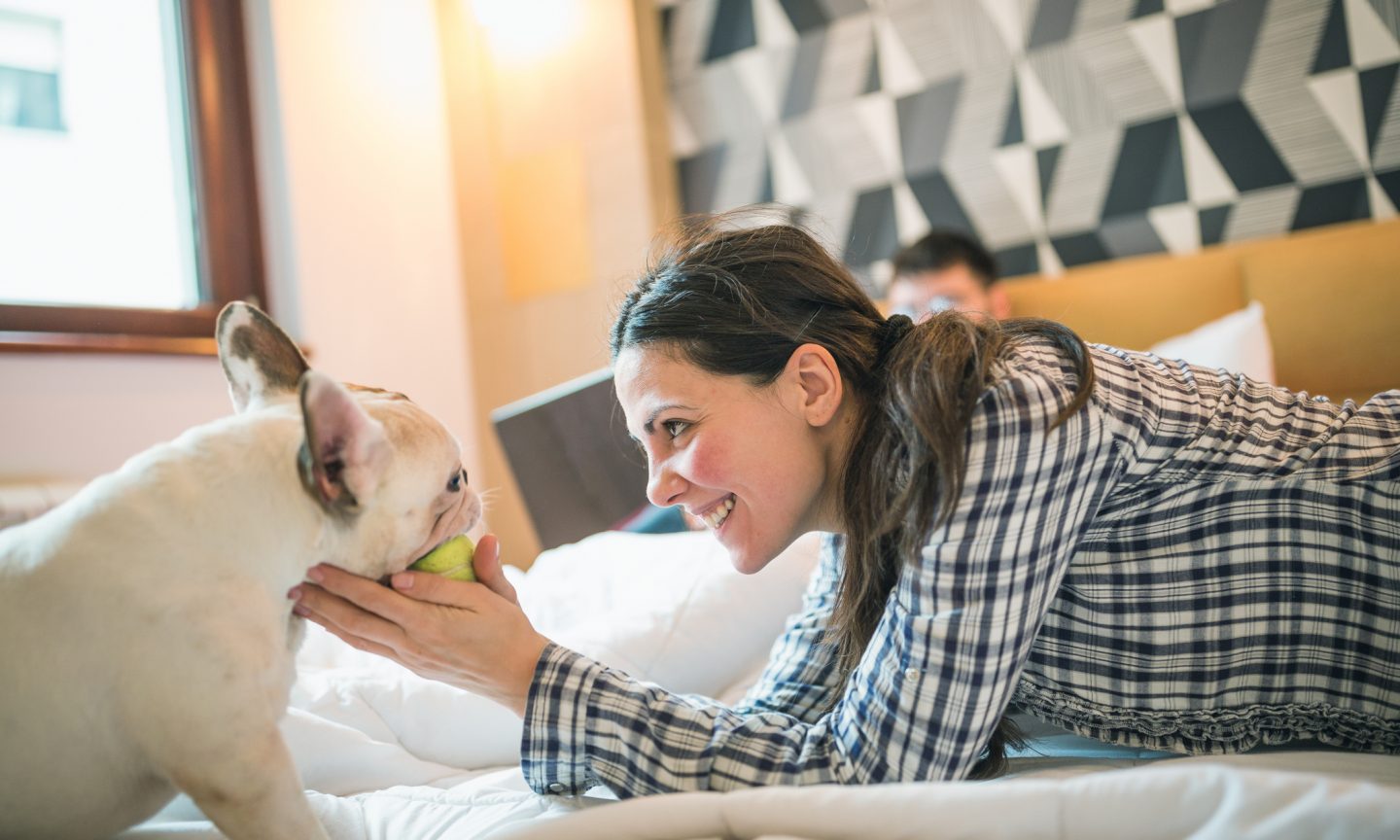 Hotel and Flight Tips for Traveling with Pets