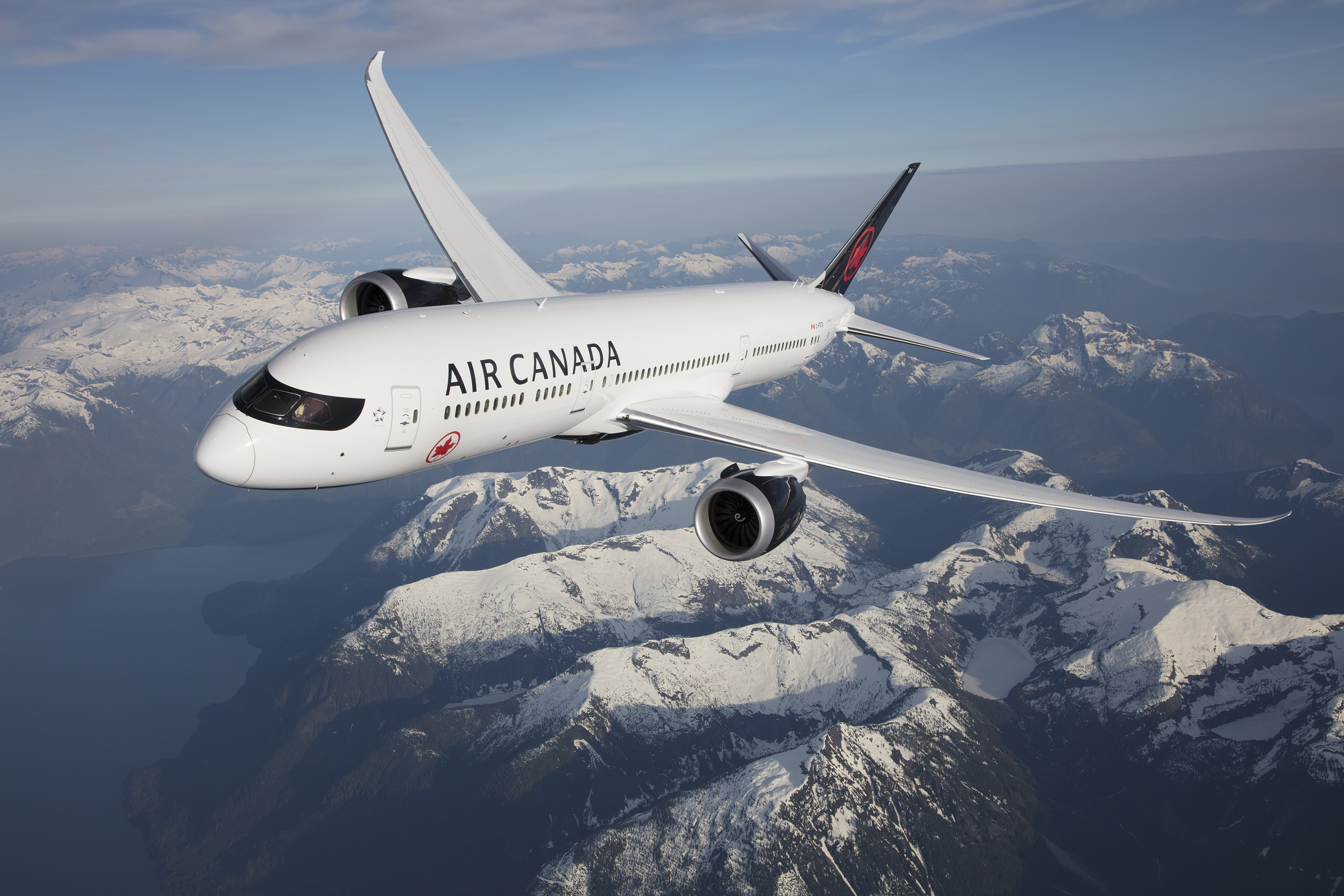 The Points Collector&#39;s Guide to Air Canada Aeroplan - NerdWallet