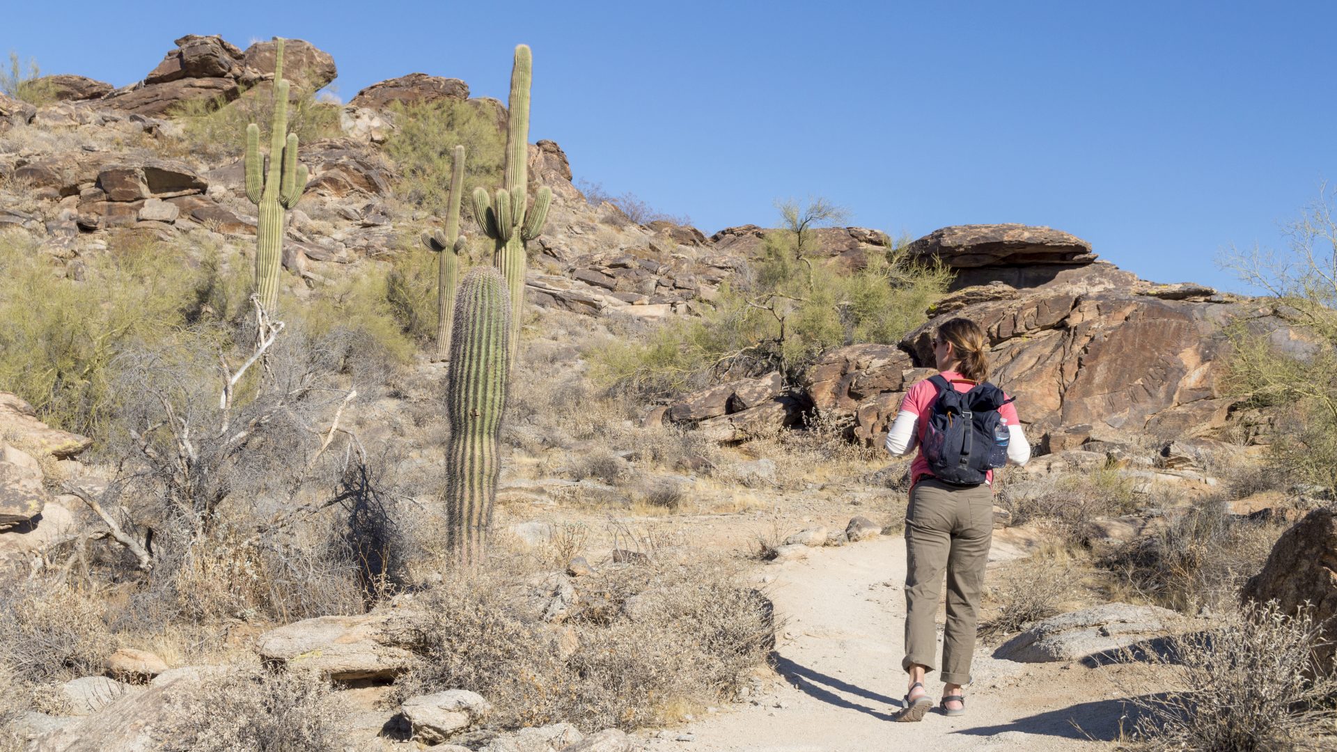 Arizona State Income Tax Rates: 2022-2023 - NerdWallet