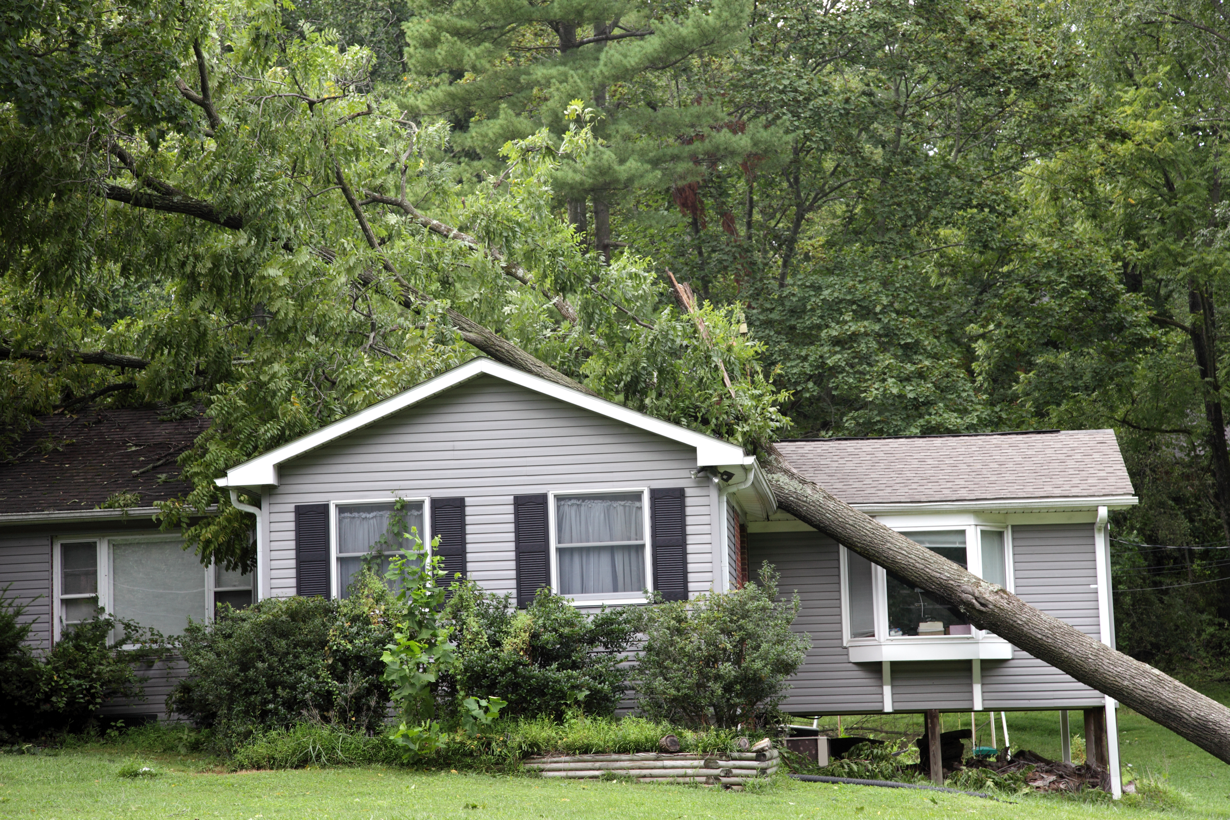 What Is Personal Liability Insurance? 2022 Guide - NerdWallet