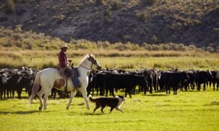 Commodities: What They Are and How To Invest in Them