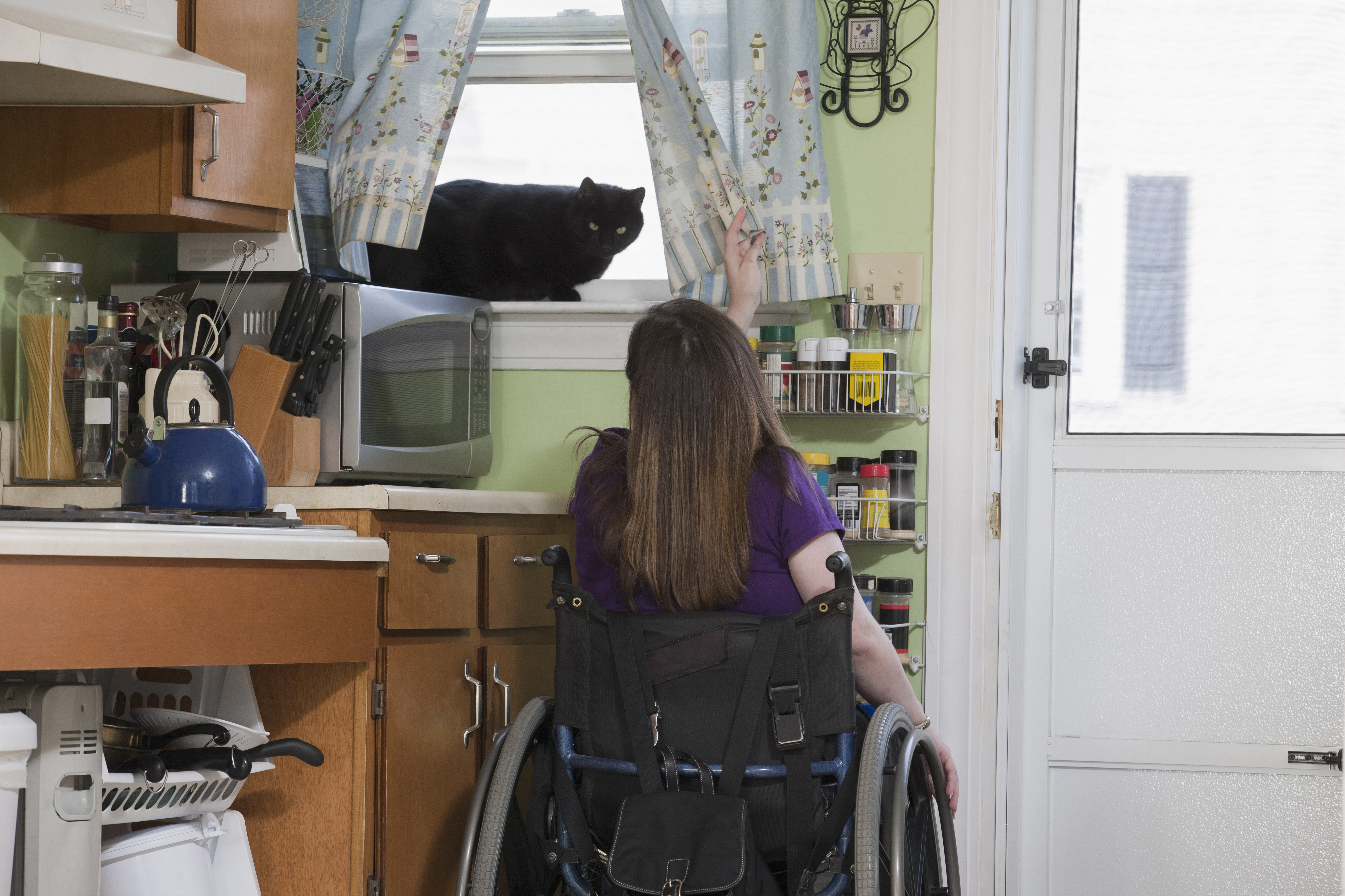 The Disabled Kitchen Specialist