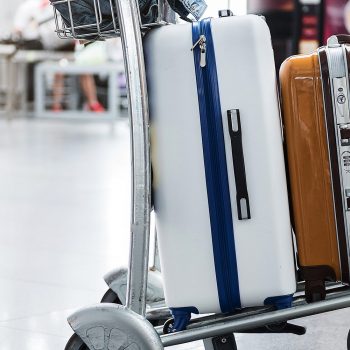 The Best Luggage Scale of 2019