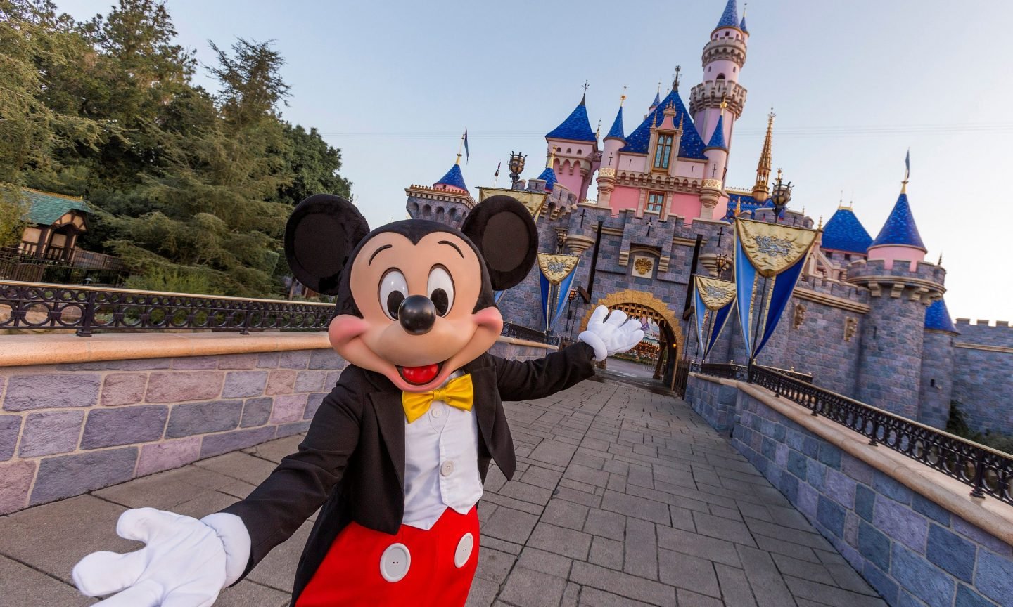 is travel insurance worth it for disney world