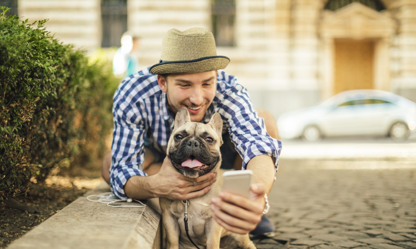 Lemonade Pet Insurance Review 2022: Pros and Cons - NerdWallet