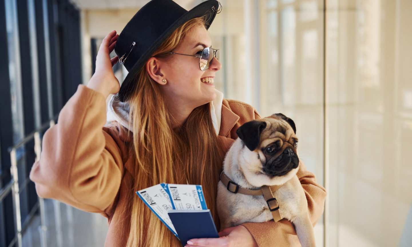 Flying United With Pet Cargo: What to Know – NerdWallet