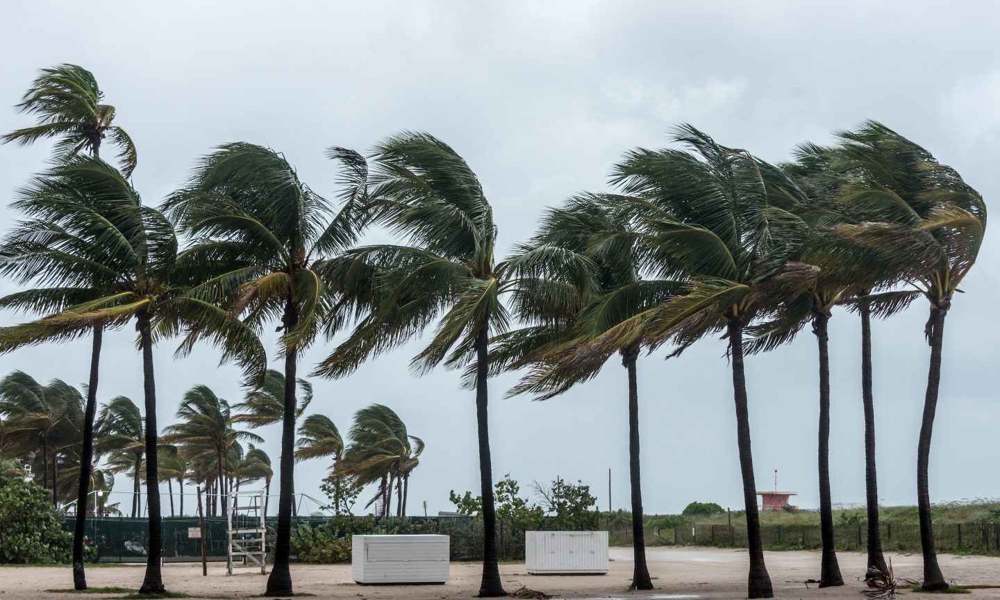 Nonetheless Reeling From Ian, Florida Faces Prices of Hurricane Nicole – NerdWallet