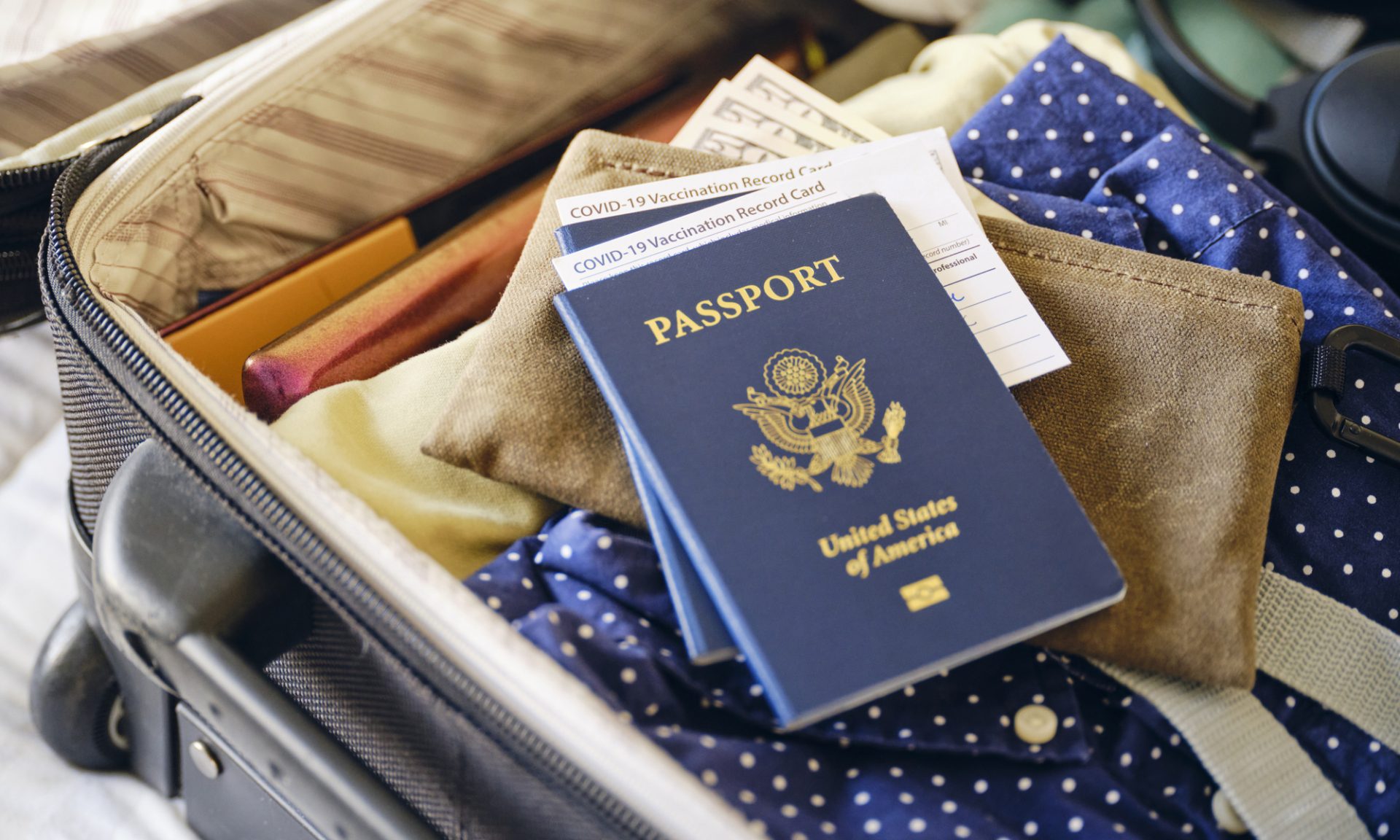 The 10 Best Passport Holders To Keep Your Travel Documents Safe 2023 -  Forbes Vetted