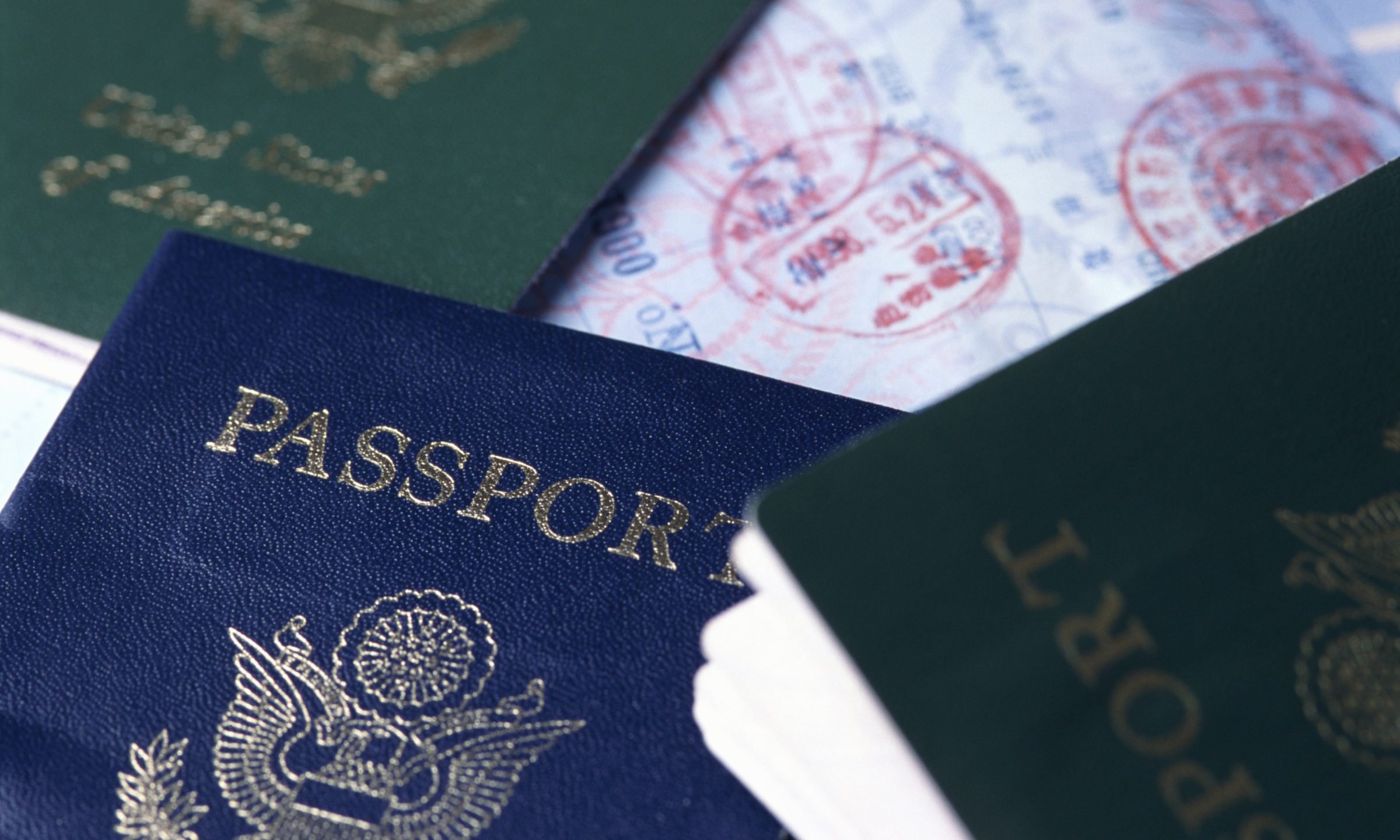 International biometric passport cover page. Blue and red top page