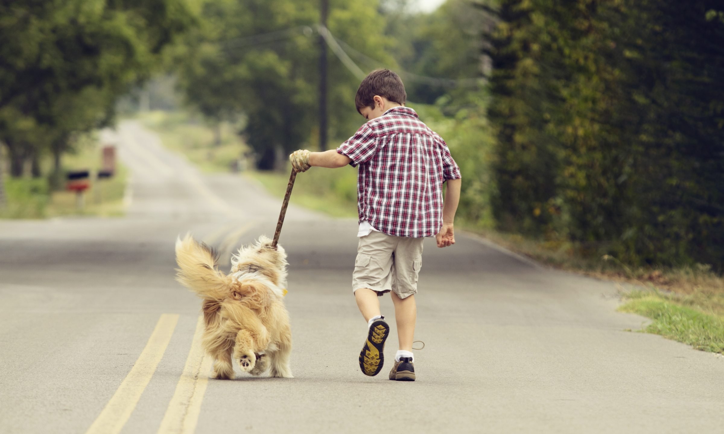 Paying is State of Being. Little Child Play with Toy Dog Outdoors