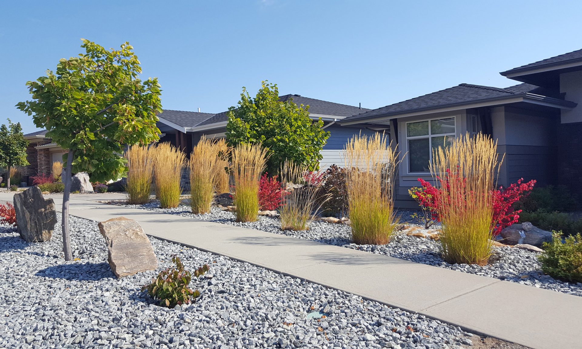 How to Break Up With Your Lawn and Boost Resale Value NerdWallet