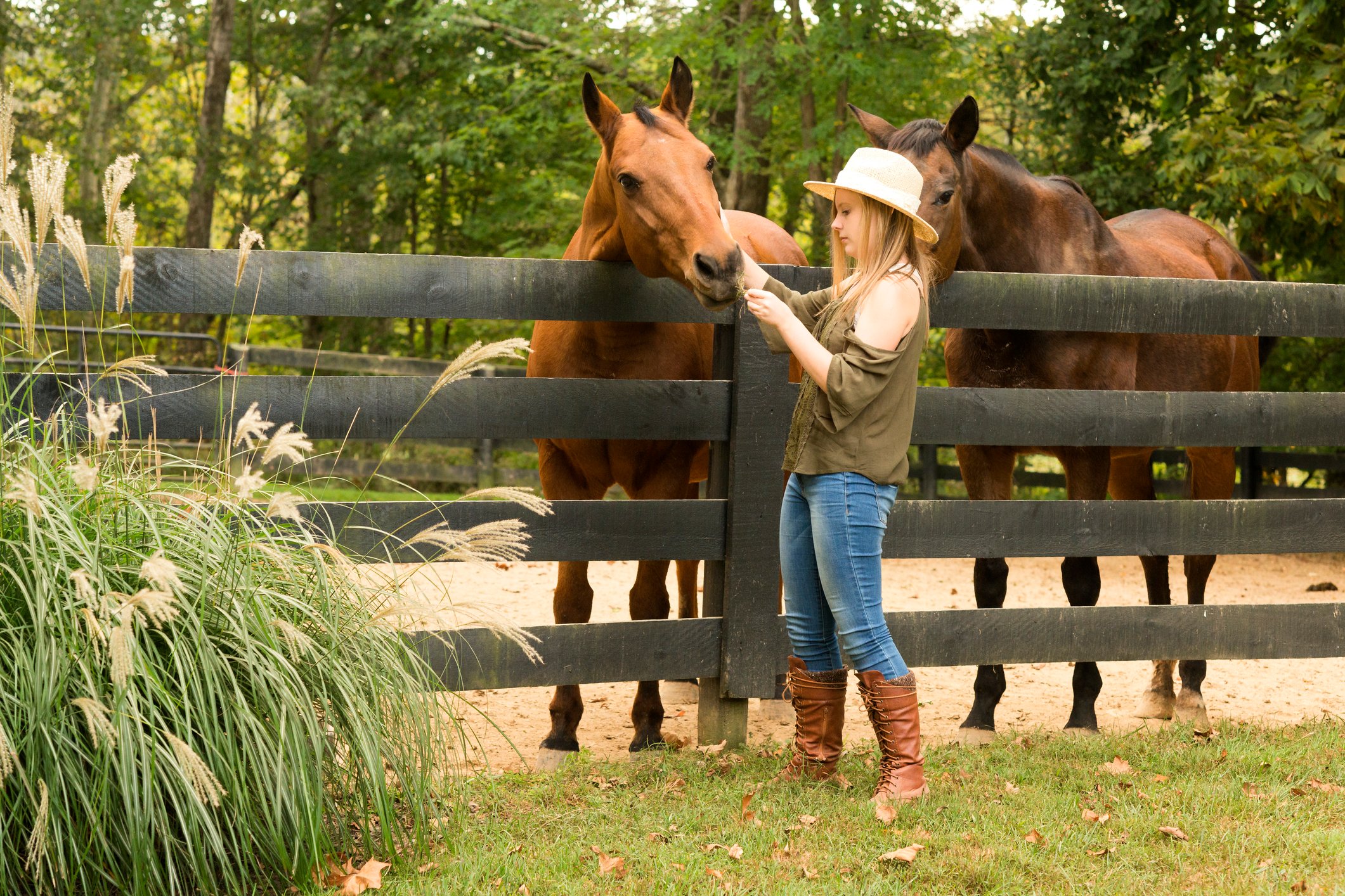 The Best Home Insurance in Kentucky