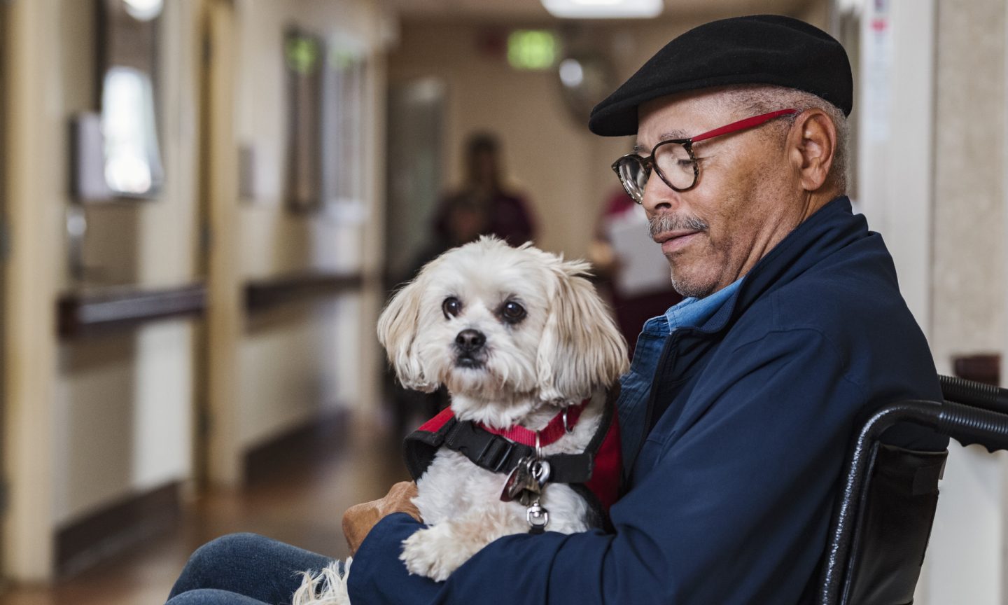 Find out how to Fly on Delta with a Service Canine – NerdWallet
