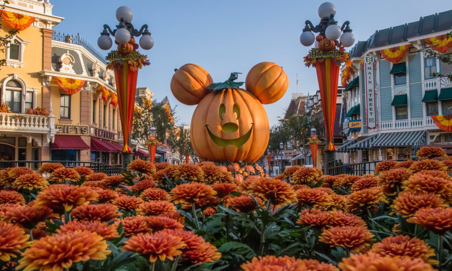 When Is the Greatest Time to Go to Disneyland? – NerdWallet