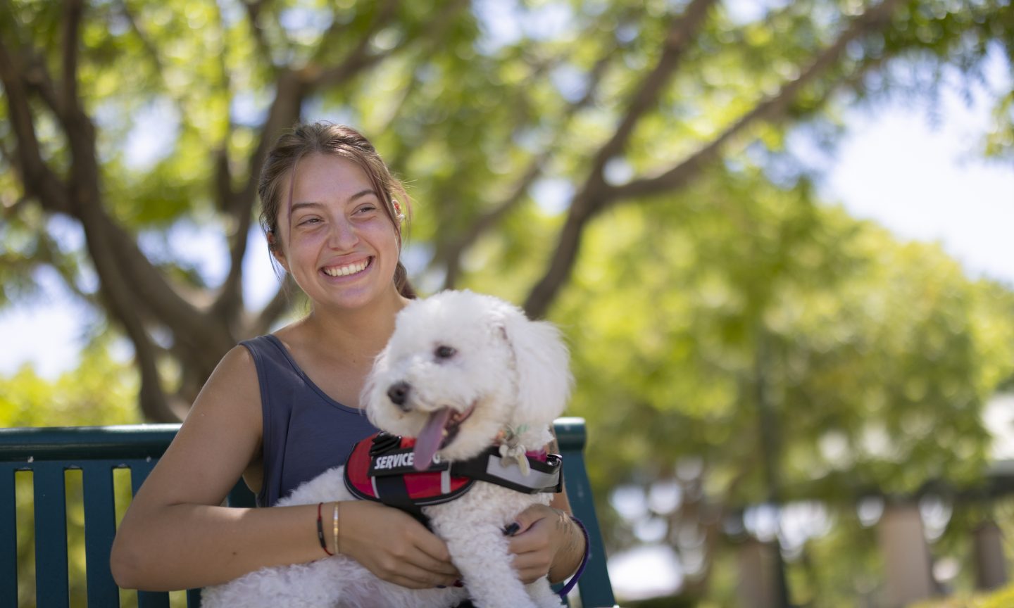 Tips on how to Fly American Airways With a Service Canine – NerdWallet