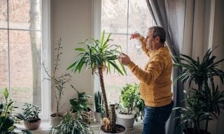 Why Some Months Have an ‘Extra’ Social Security Payment