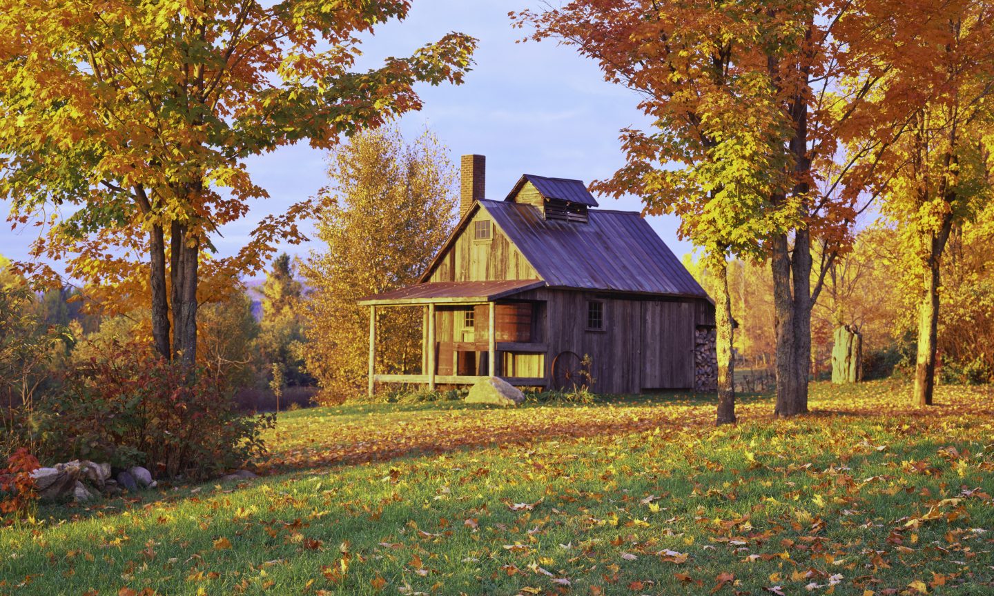The Greatest Householders Insurance coverage in Vermont for 2023 – NerdWallet