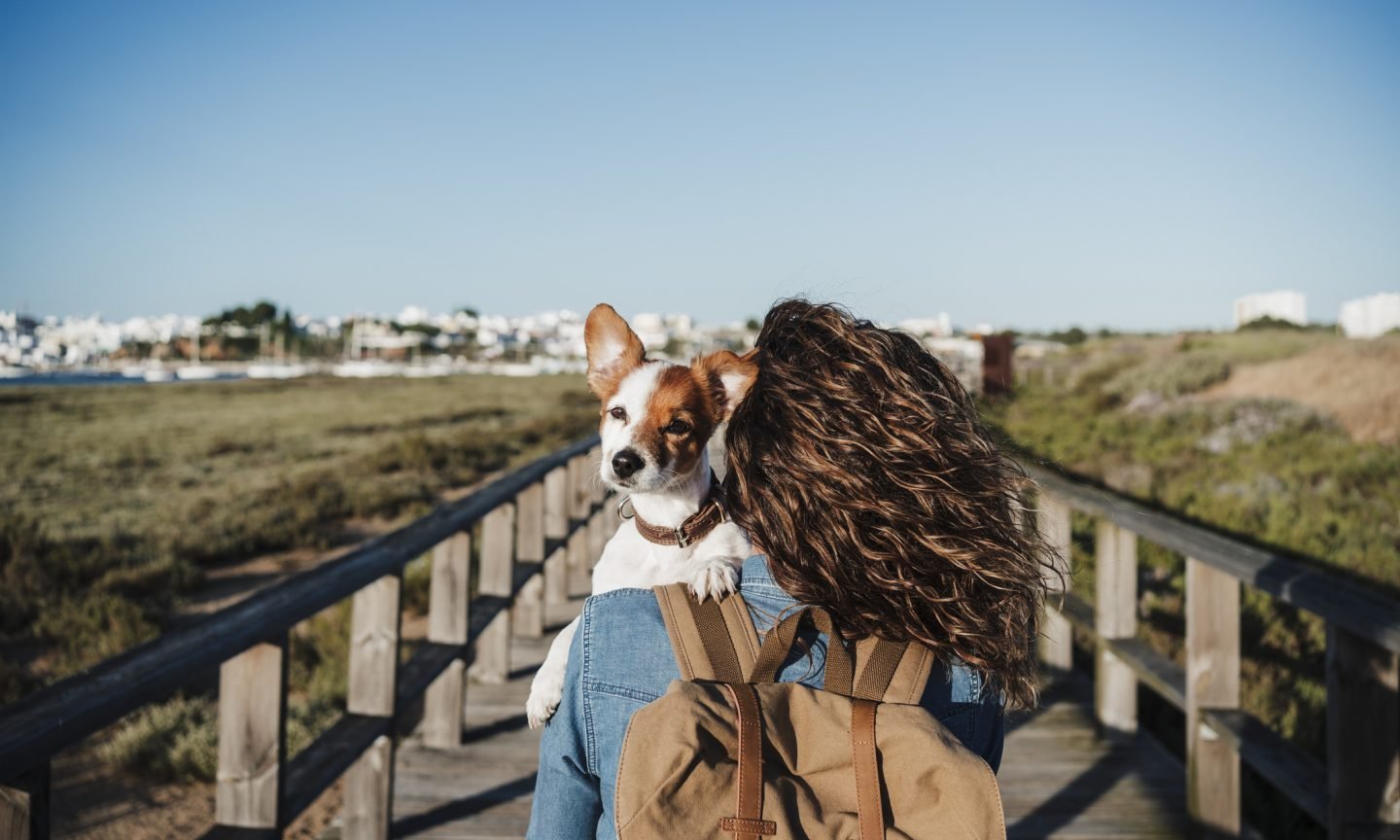 Information to Passports for Pets – NerdWallet